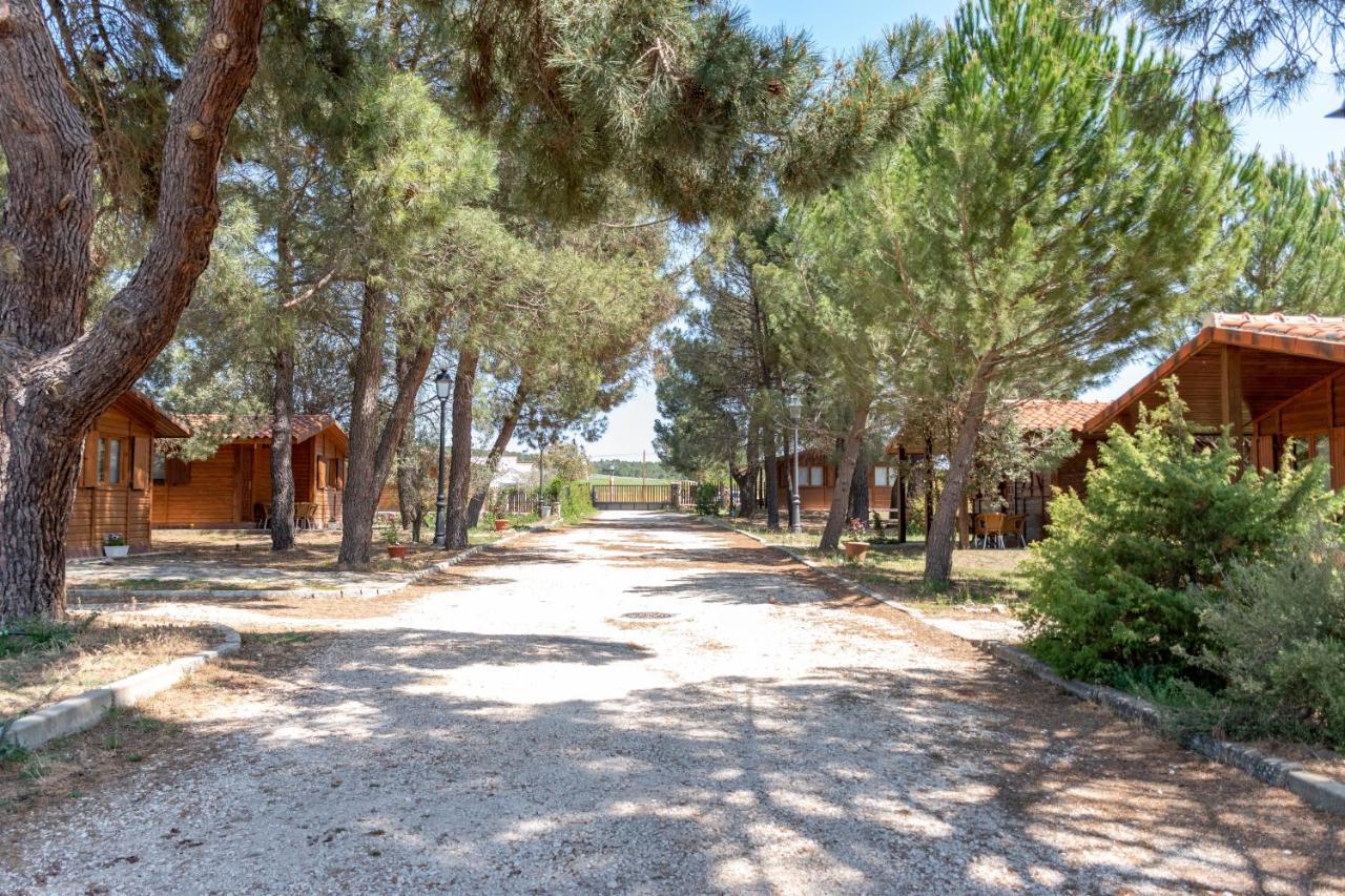 Las Casitas Del Pinar Bayubas de Abajo Exterior foto